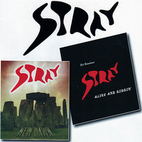 Mister Wind - Stray