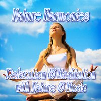 Relaxing Lakeshore Nature Music for Spiritual Wellness - Nature Sound
