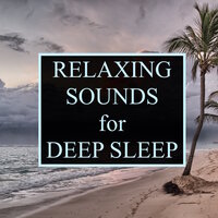 Leaves in the Wind - Deep Sleep Music Club