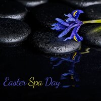Spa Experiences - Tranquility Spa Universe