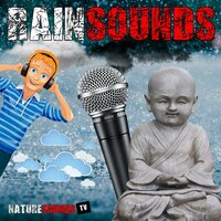Calming Sound Of Heavy Rain - Nature Sounds TV