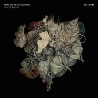 Moon Rocks - Enrico Sangiuliano