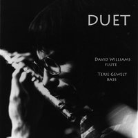 Someday My Prince Will Come - David Williams