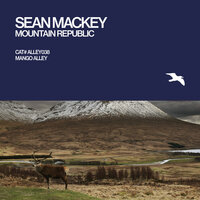 Valley Case - Sean Mackey & Teho