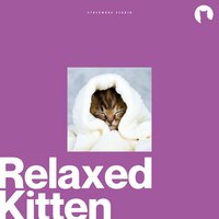 Serene Seaside Sketches - Relax My Kitten