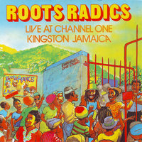Dedication to Bingy Bunny - Roots Radics