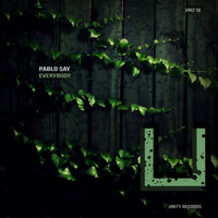 Full Party - Pablo Say