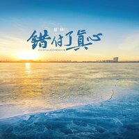 错付了真心 - 暴林
