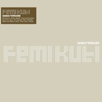 Truth Don Die - Femi Kuti & Masters at Work