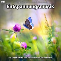 Kontraste für mein Wohlbefinden - Entspannungsmusik & Schlafmusik & Entspannungsmusik zum Einschlafen