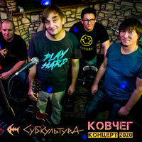 Рисунок - Субкультура