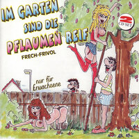 Gute Nacht, Ihr lieben Sorgen - Peter Steiner & sein lustiger Haufen