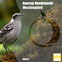 Mocking Bird - Anurag Nandvanshi