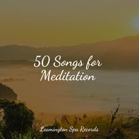 Clear Mind - Música de la Naturaleza & Exam Study Classical Music & Zen Meditate