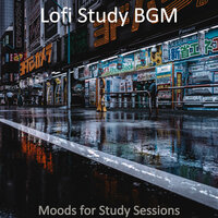Soundscapes for Work from Home - Lofi Study BGM