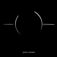 Galactic Cycle - SkyNet