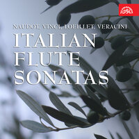 Sonata for Flute and Harpsichord No. 5 in C-Sharp Major: I. Adagio I. - Václav Žilka & Zuzana Ruzickova