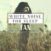 White Noise for Sleep_ Fan, Pt. 8 - Mark Wayne