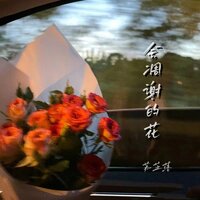 会凋谢的花 - 苏芷落 & 彭锐