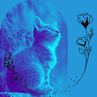 Sprightly Backdrops for Comfy Cats - Cat Music Oasis