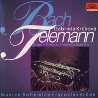 Oboe Concerto in D Major, TWV 51:D5: IV. Scherzando - Musica Bohemica & Jaroslav Krček & Gabriela Krčková & Георг Филипп Телеман