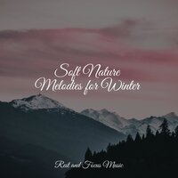 Heart Cradle - Chillout Lounge & Buddhist Meditation Music Set & Meditação Maestro