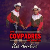 Ella Me Dijo Que No - Los Compadres De Sinaloa