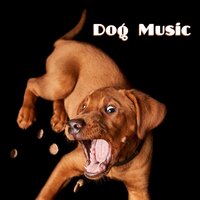 Cosmic Delights - Dog Music Club & Sleepy Dogs & Dog Calming Music