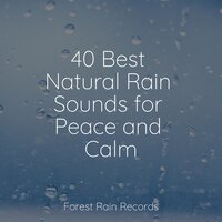 Rain on Foliage - Buddhist Meditation Music Set & Baby Sleep Music & Nature Sounds for Sleep and Relaxation
