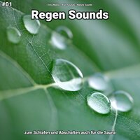 Regen Sounds, pt. 21 - Enna Maras & Rain Sounds & Nature Sounds