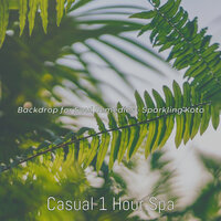 Exciting Ambiance for Revitalizing Facials - Casual 1 Hour Spa