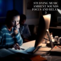 Echoes of Nostalgia - Relaxing Ambient Study