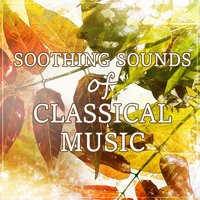 Lied der Freiheit in F Major, K. 506 - Krakow String Project & Вольфганг Амадей Моцарт
