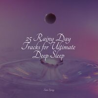 Forest, Morning, Birds - Relaxamento & Entspannungsmusik Meer & Nature Music Pregnancy Academy