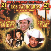 Me Persigue Tu Sombra - Cornelio Reyna