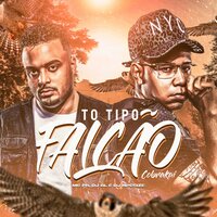 To Tipo Falcão Cobrakai - MC PR & DJ BL & DJ NpcSize