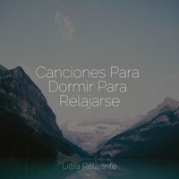 Tiempo En La Montaña - Música Relajante para Perros & Meditacion & Unidad de música zen relajante