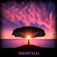 Perpetual - Dubsalon