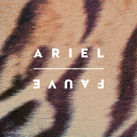 Aimer sa cage - Ariel