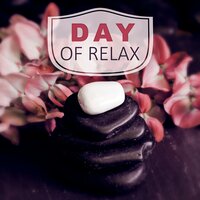 Tranquility - Massage Spa Academy