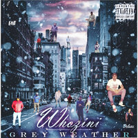 Another Bird - whozini