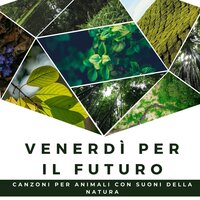 Energia per la mente - Preghiera Silenzio