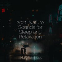 Birds Near Still Waters - Pure Serenity Spa Music & Massage Collective Garden & Zen Relaxation Meditation & The Relaxing Sounds of Water & Classical Lullabies