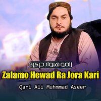 Zalamo Hewad Jora Kay - qari ali muhammad aseer