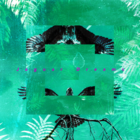Behind Those Clothes - Jaguar Dreams