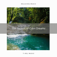 Joy of Perfect Ocean Sounds and Nature Calls for Extreme Relax pt. 1 - Calming Sounds & Seas of Dreams