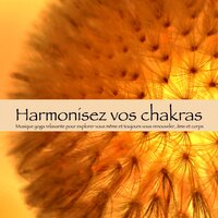 Ashtanga - Chakras Yoga Spécialistes