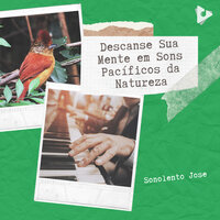 Concerto de Aves - Sonolento Jose & Música Relaxante para Bebês & Barulho de Tempestades