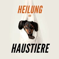 Entspannungsmusik für Hunde - Evan Tierisch