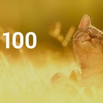 Топ 100 Muzmo август 2016